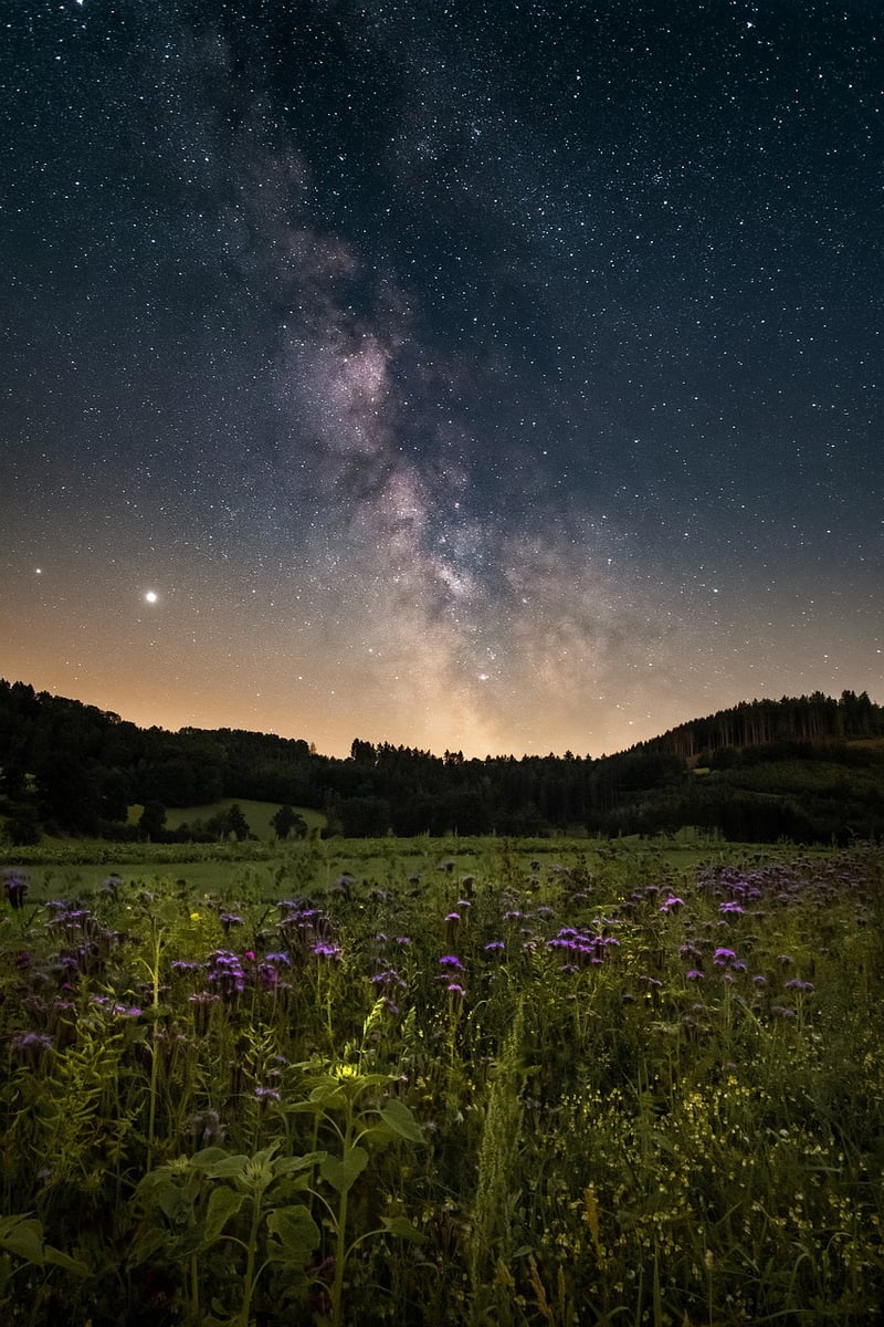 Galactic Memories